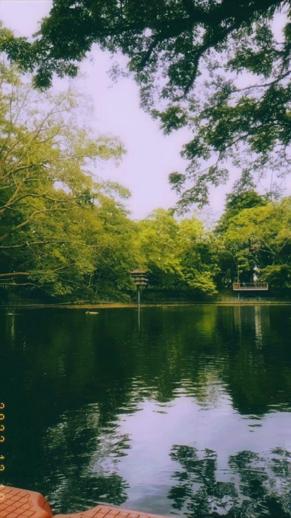 universitas taman hijau